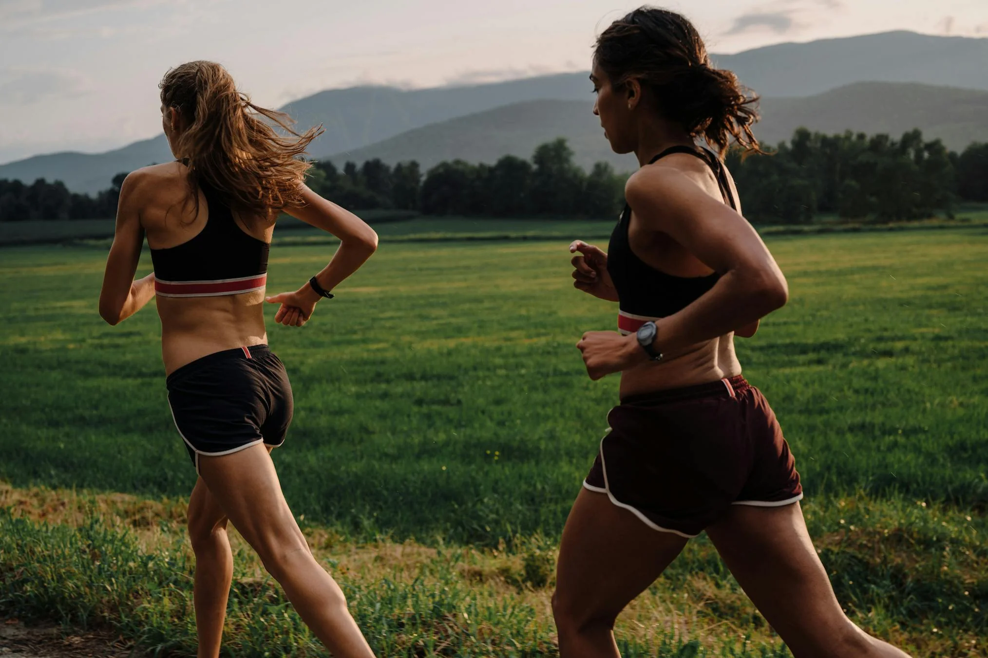 Tracksmith Run Bra - Image 4
